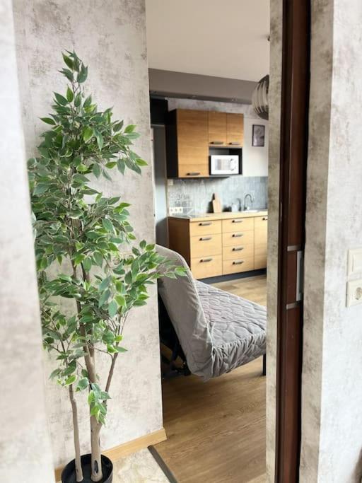 Elegant Rooftop Studio With Shared Terrace And Jacuzzi Apartament
